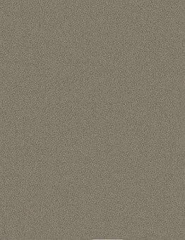 Ковровая плитка Equal Measure 551