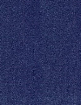 Синий ковролин Asteranne